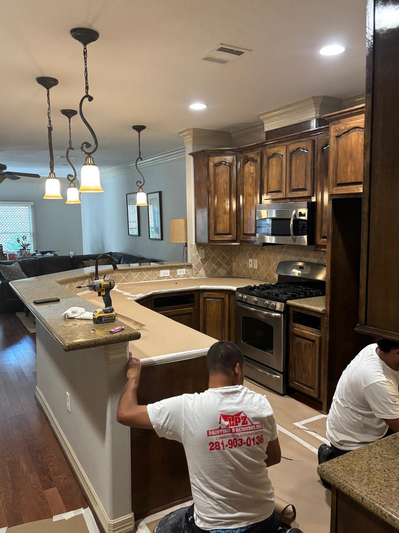 Before - Cabinet Painting